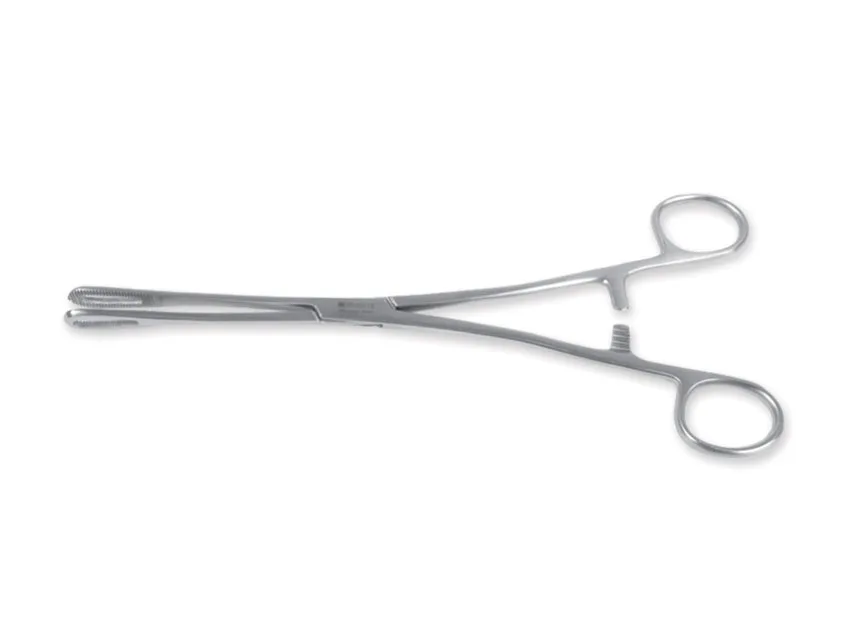 Forcepsuri Rampley - 18 cm